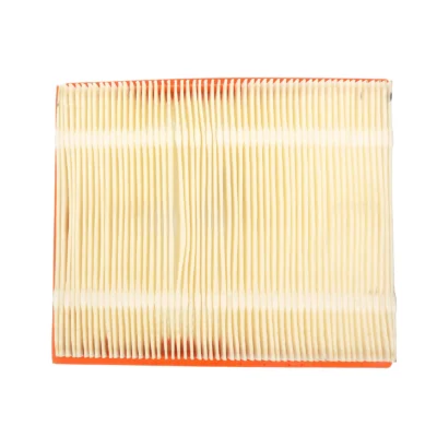 Car Air Filter For Jeep Grand Cherokee ZJ WJ 53007386 53030688 For Nissan Pathfinder 3 4.0 165467S000 165467S015 53007386AB