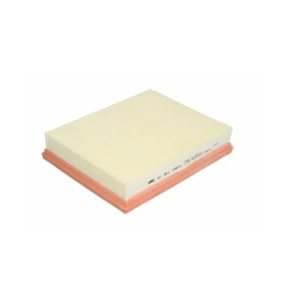 Car Air Filter for Nissan Navara NP300 2.3 BENZ X-CLASS Platform/Chassis OEM:16546-4KV0A 16546-4JM1A A0000900700