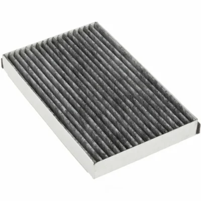 Car Pollen Cabin Air Filter 10406026 For Chevy Impala Lumina Monte Carlo Oldsmobile Cutlass Intrigue Supreme Pontiac Grand Prix