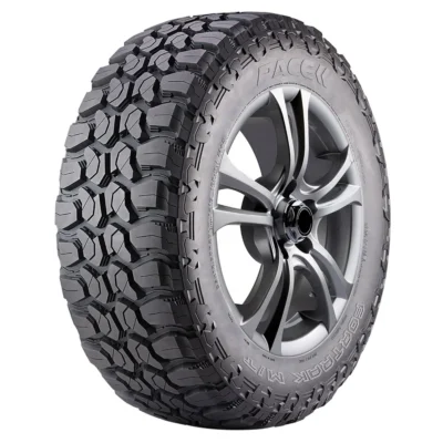 PACE Best Price All Weather Passenger Car Radial Tire/Tyre175/65r14 185/65r15 on Sale